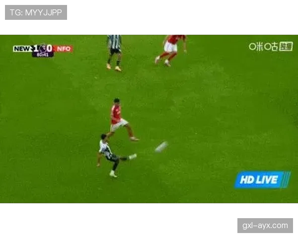 全球足球明星动态更新：新赛季转会传闻与伤病状况持续引发关注