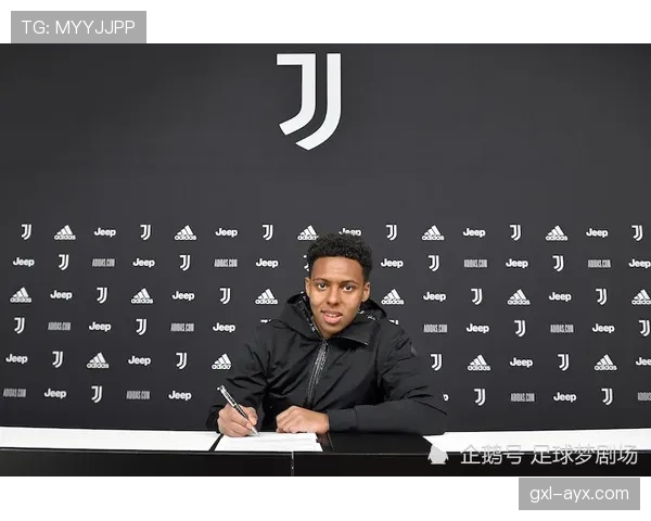 克罗地亚足球市场热闹非凡，新星转会动态值得关注