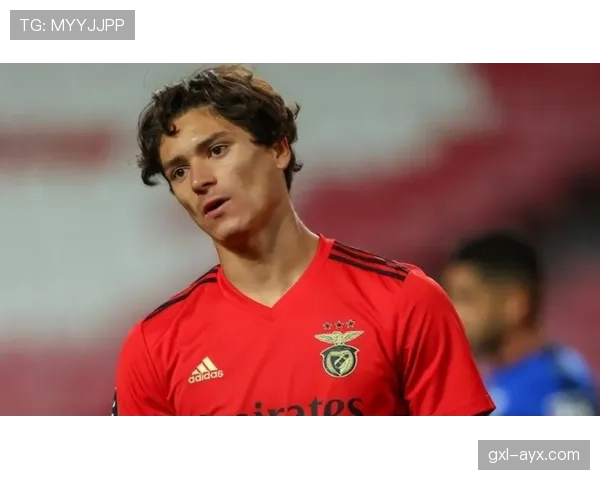 努涅斯：终结效率与稳定性是否仍待时间检验